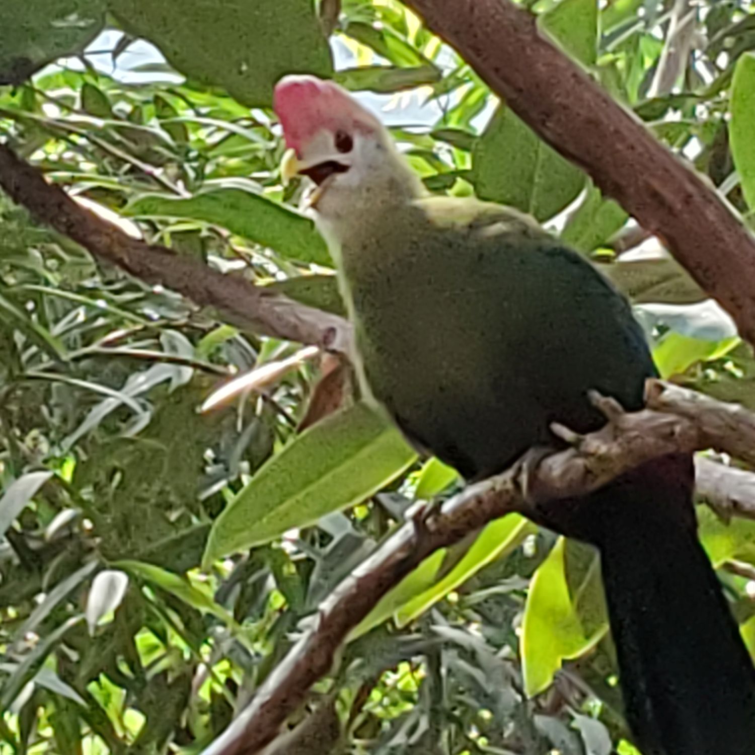 Sedgwick County Zoo 